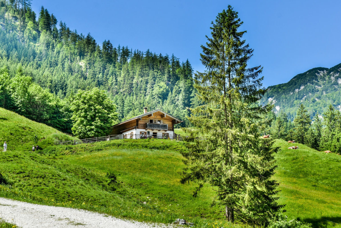 Reißt die Gebirgstapeten runter! Warum tun sich die Grünen mit Heimat so schwer?