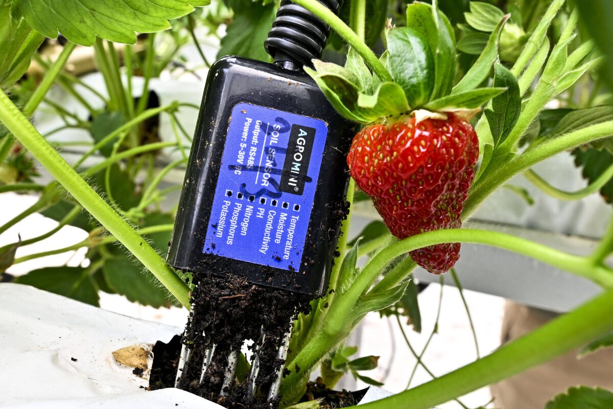 Der Klimawandel ist eine der größten Herausforderungen unserer Zeit. Zeitgleich besteht ein anhaltendes Interesse an der Nutzung und Entwicklung von Künstlicher Intelligenz (KI), einer Technologie, die für ihren Betrieb große Mengen Energie und natürliche Ressourcen benötigt. Laura State vom Alexander von Humboldt Institut für Internet und Gesellschaft zeigt, wie Klimawandel und KI zusammenwirken und wie KI bei der Bekämpfung des Klimawandels helfen kann.