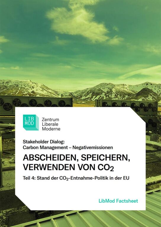 Stakholder Negativemissionen Factsheet 4