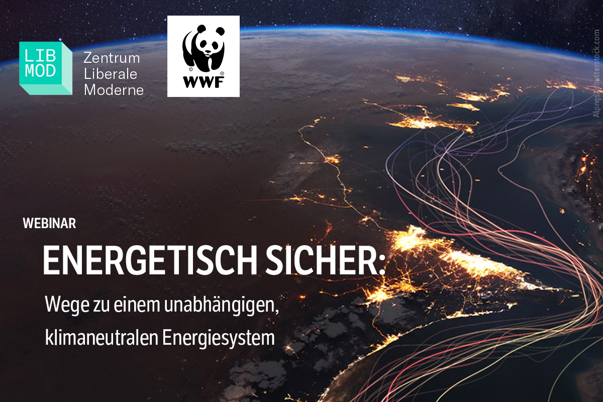 Energiesicherheit im 21. Jahrhundert ist längst mehr als eine Frage verlässlicher Versorgung. Der russische Angriffskrieg gegen die Ukraine und die jüngsten Eskalationen im Nahen Osten verdeutlichen, wie stark fossile Energieabhängigkeiten wirtschaftliche Stabilität, politische Handlungsfähigkeit und Sicherheit beeinflussen.&nbsp;Die gemeinsame Webinarreihe von Zentrum Liberale Moderne und WWF nimmt diesen Zusammenhang in den Blick.
